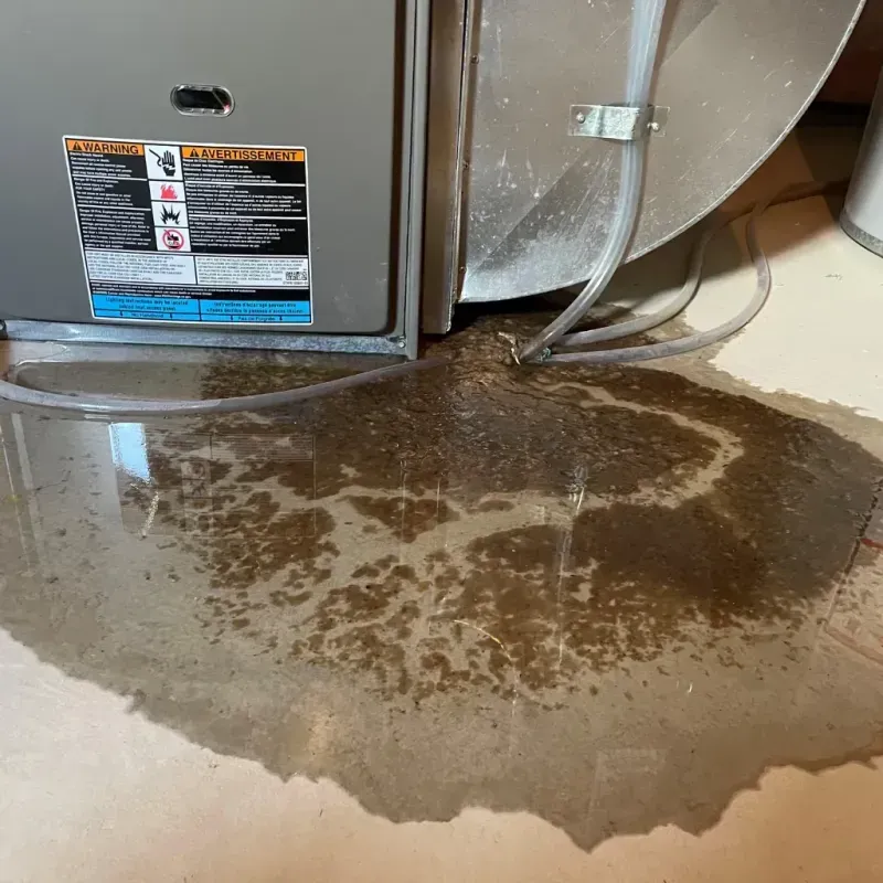 Appliance Leak Cleanup in Churchill, PA